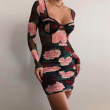 Rose Print Long Sleeve Mesh See-through Sexy Mini Dress