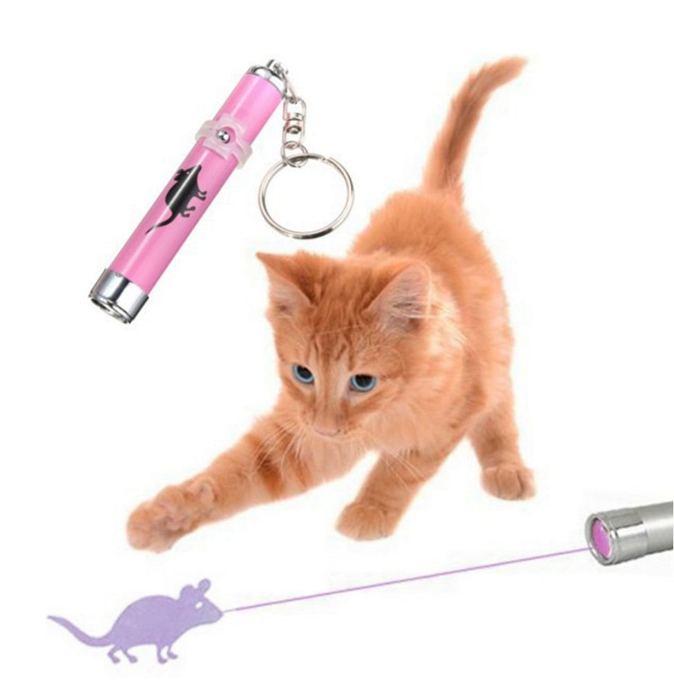 Animation Mouse LED Pointer light Pen Cat Toy
